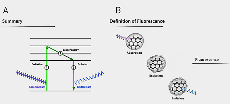 熒光檢測(cè)原理